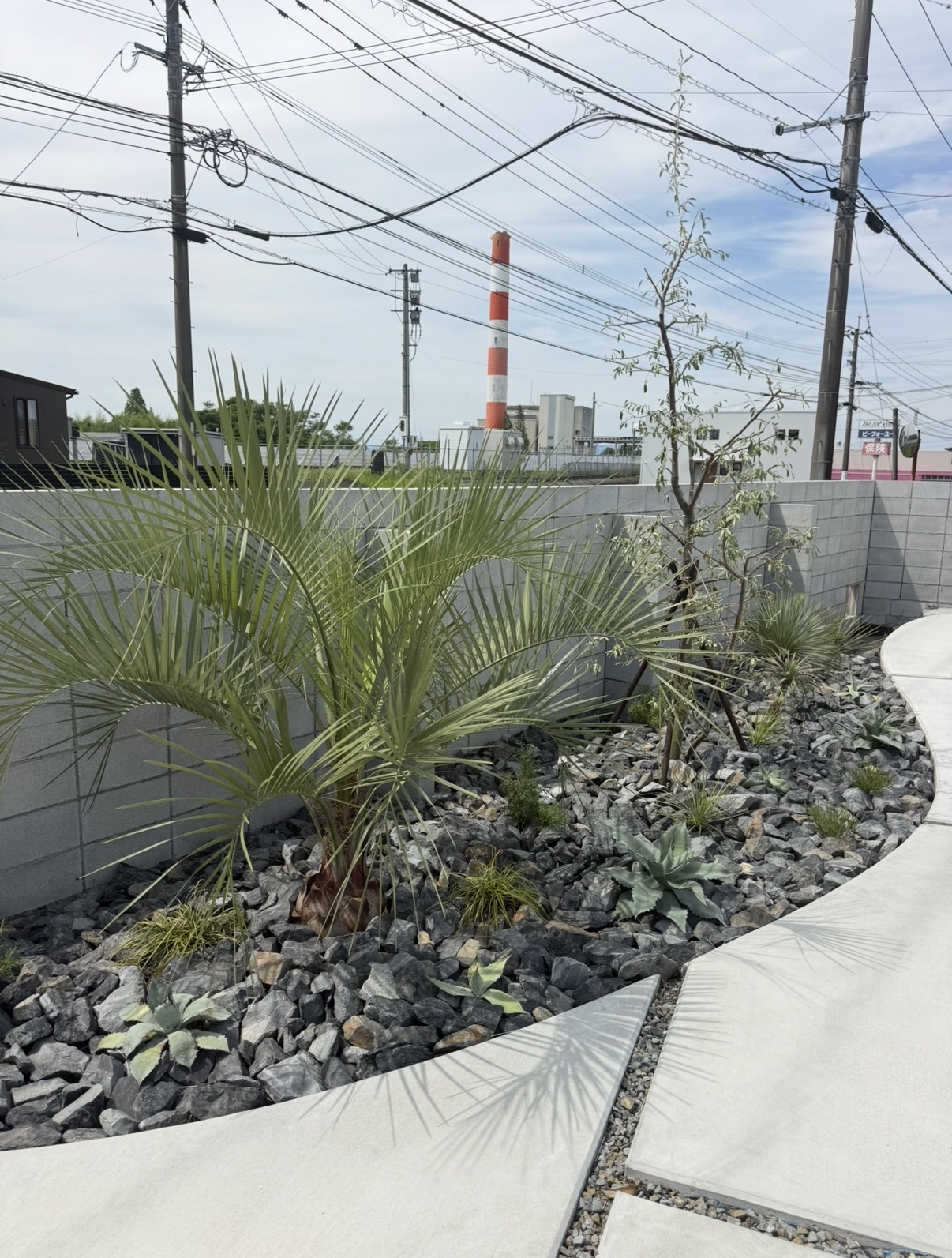 外構工事に合わせた南国植物の植栽